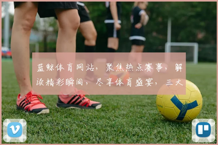 蓝鲸体育网站，聚焦热点赛事，解读精彩瞬间，尽享体育盛宴，三大版块，一网打尽