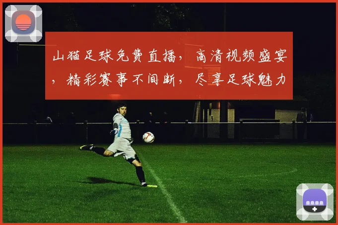 山猫足球免费直播，高清视频盛宴，精彩赛事不间断，尽享足球魅力，不容错过