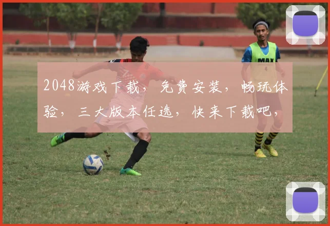 2048游戏下载，免费安装，畅玩体验，三大版本任选，快来下载吧，